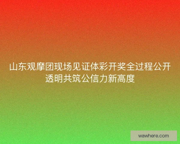 山东观摩团现场见证体彩开奖全过程公开透明共筑公信力新高度